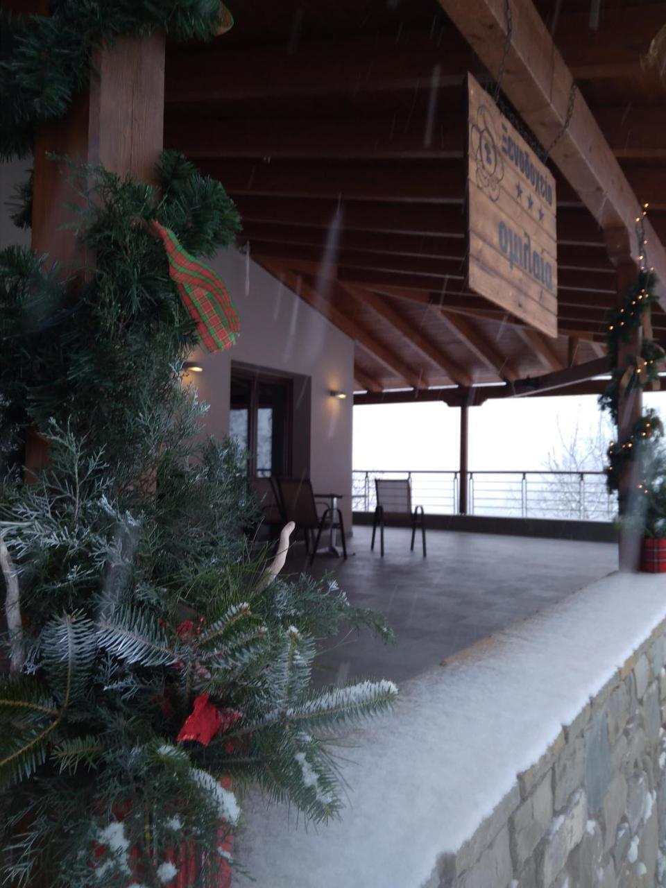Omilaia Hotel Gardiki Zewnętrze zdjęcie