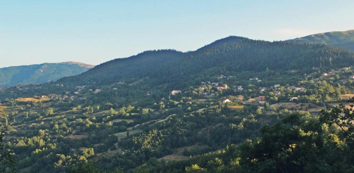 Omilaia Hotel Gardiki Zewnętrze zdjęcie