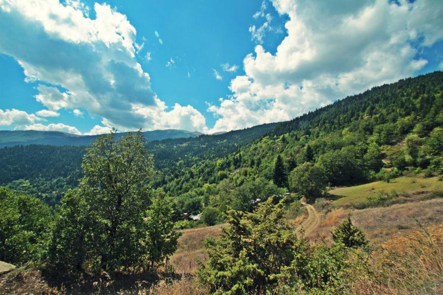Omilaia Hotel Gardiki Zewnętrze zdjęcie
